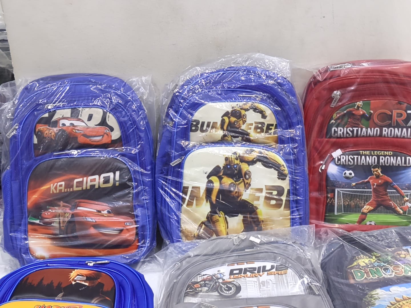 Premium School Backpack
