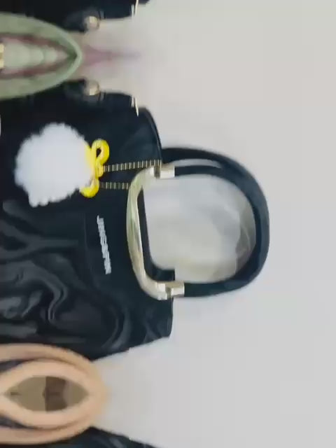 Premium 2-Piece Crossbody Bag Set